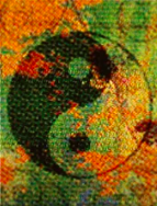 Logo Ma-Sage